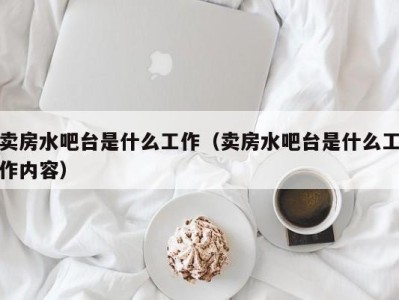 北京卖房水吧台是什么工作（卖房水吧台是什么工作内容）