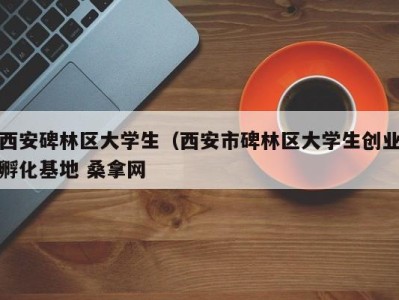 北京西安碑林区大学生（西安市碑林区大学生创业孵化基地 桑拿网