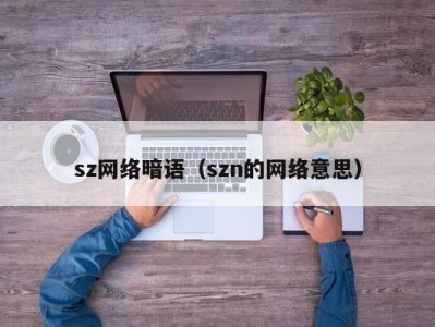 北京sz网络暗语（szn的网络意思）