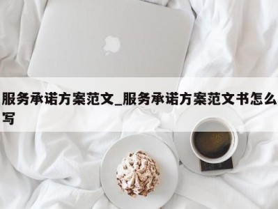 北京服务承诺方案范文_服务承诺方案范文书怎么写 